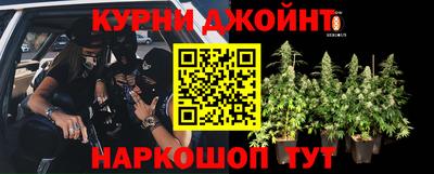 бошки Ливны